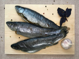 Щука соломка: Форель радужная вяленая