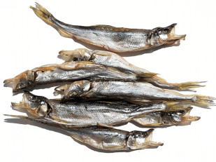 Арахис в глазури: Корюшка (мелкая) вяленая (Камчатка)